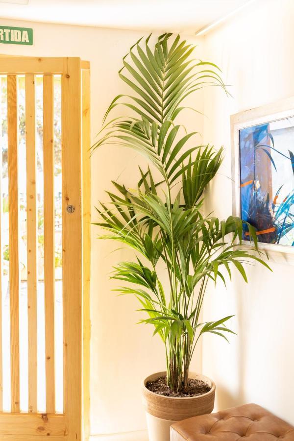 Sitges Beach Hostal Kültér fotó
